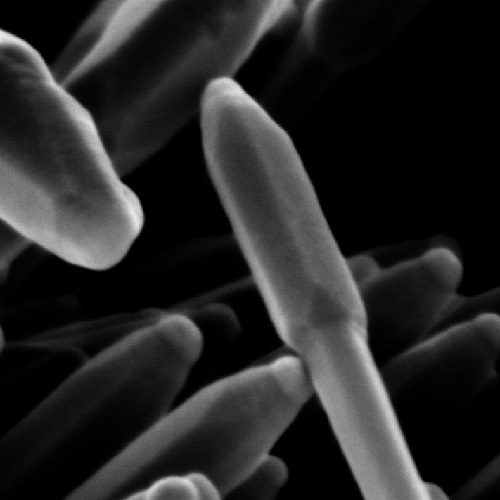 qodef-image-with-icon